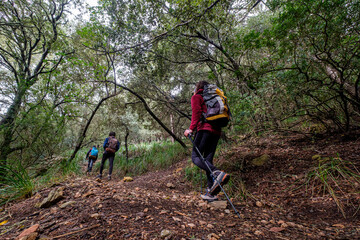 Naklejka premium ascent path to Puig de Galatzó, Tramontana sierra, Majorca, Balearic Islands, Spain