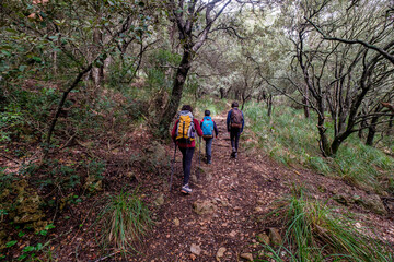 Obraz premium ascent path to Puig de Galatzó, Tramontana sierra, Majorca, Balearic Islands, Spain