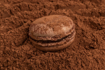 French chocolate macaroon in cocoa powder. Close up.