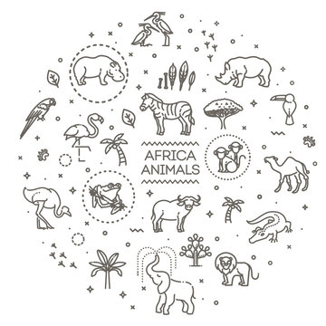 Banner. African animals