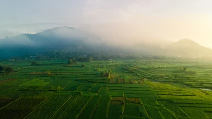 Fotobehang Rijst Terras Luchtfoto. Foto& 39 s van prachtige terrasvormige rijstvelden in de ochtend als het mistig is in Lombok © ady sanjaya
