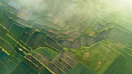 Washable wall murals Rice fields Rice Terrace Aerial Shot. Pictures of beautiful terraced rice fields in the morning when foggy in Lombok