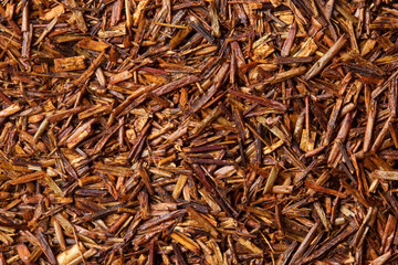Rooibos tea on white background. Top view. Close up. High resolution