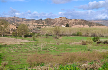 Fototapeta na wymiar Purullena village in the south of Spain