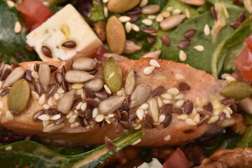 salad with salmon, cheese, and various  sesame seeds