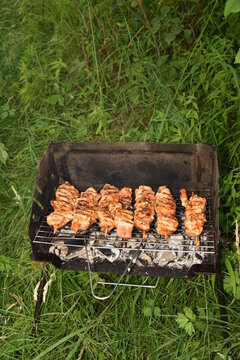 skewers on a barbecue , kebab,frigarui,
