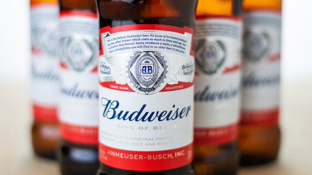 Budweiser beer studio photo, renowned brand of beer