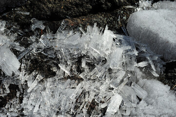 Needle Ice