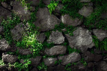Texture of stones with moss. Stones wall background in wooded environment. Rustic textures concept to greegar your design. Stone wall texture in the forest. Amatlán, Mexico.
