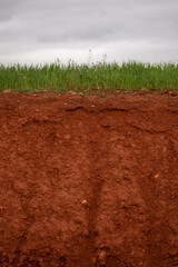 Clay soil fraction and vegetation