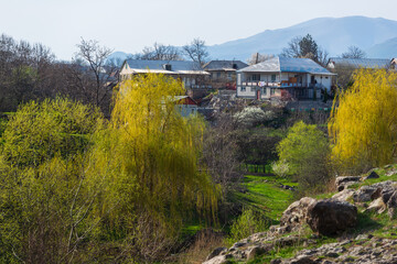 View of Kurtan village in the Lori Province of Armenia in spring time