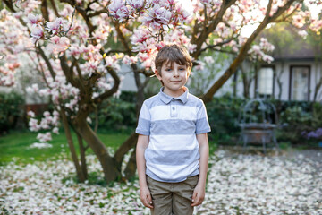 adorable blonde kid boy portrait in blooming cherry or magnolia garden, walking outdoor. Happy...