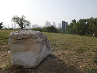 Beautiful Cityscape View from Park Edith Wolfson, Tel Aviv, Israel