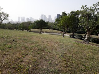 Green Beautiful View of Park Edith Wolfson, Tel Aviv, Israel