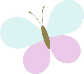 Vector illustration of the butterfly