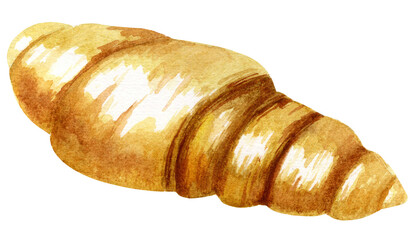 watercolour drawing of a croissant. Crispy dessert for tea and coffee. The concept of delicious and healthy food