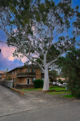 Fototapeta na wymiar Apartment building in inner Sydney suburb NSW Australia