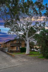 Apartment building in inner Sydney suburb NSW Australia