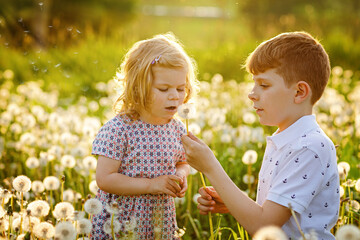 School kid boy and little baby girl blowing on a dandelion flowers on the nature in the summer....