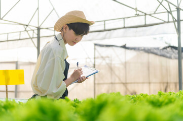 Asian farmer woman working at salad farm,Female asia Growing vegetables for a wholesale business in the fresh market