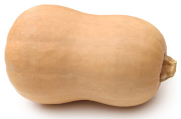 Butternut squash