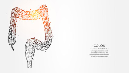 Abstraction polygonal vector illustration of the colon or large intestine on a light background. Digestive system, internal organ low poly design. Medical banner, template or background.