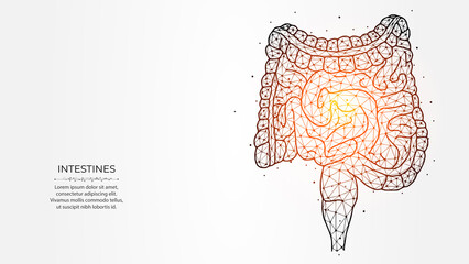 Abstraction polygonal vector illustration of the intestines on a light background. Digestive system, internal organ low poly design. Medical banner, template or background.