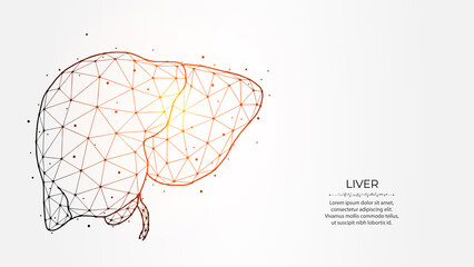 Abstract polygonal vector illustration of a human liver on a light background. Digestive gland, internal organ low poly design. Medical banner, template or background.