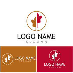 Maple leaf vector illustration design template