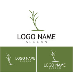 Sugar cane Logo Template vector symbol nature