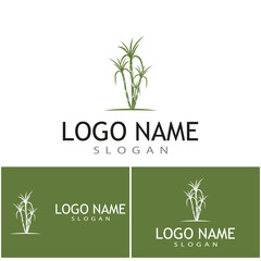 Sugar cane Logo Template vector symbol nature