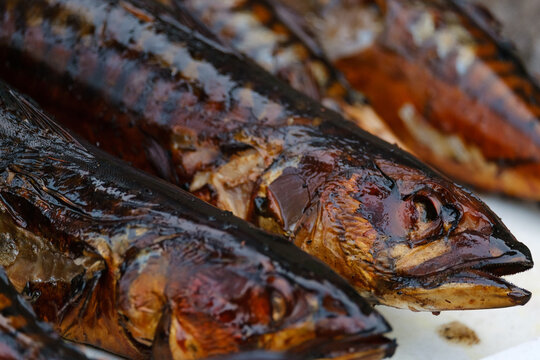 fresh smoked mackerel fish close-up photo