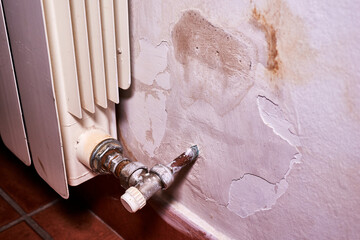 Close-up of a damp stain on the wall caused by a water leak. of a house. 