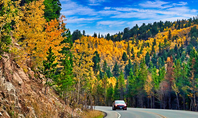 Golden aspens line Boulder County, Colorado's Peak to Peak Highway on the fall