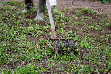 a man cleans weeds in the garden. Spring cleaning on the farm.
