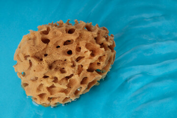 Natural body wash sponge on water background, shot from above. Zero waste product, copy space.