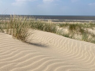 Sanddünen am Strand der Nordsee in Holland in Noordwijk