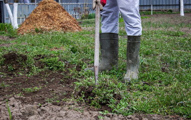 a man cleans weeds in the garden. Spring cleaning on the farm.
