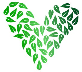 Heart shape from green leaves. Ecology or vegan symbol.
