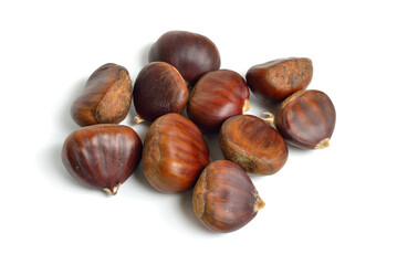 Castanea sativa, or sweet chestnut fruit. Isolated on white background.