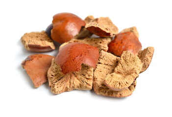 Dried peels of Hyphaene thebaica, doum palm or gingerbread tree also doom palm. Isolated