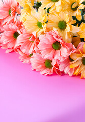Bouquet of chrysantemum flowers on pink paper background - 500981360