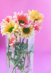 Bouquet of chrysantemum flowers in vase - 500981387