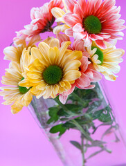 Bouquet of chrysantemum flowers in vase - 500981389