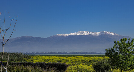 Early morning view of the Golan Heights and Mount Hermon  as seen from Hula valley, near Yesood...