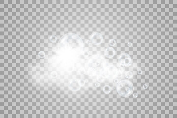 Air soap bubbles on a transparent background .Vector illustration of bulbs.