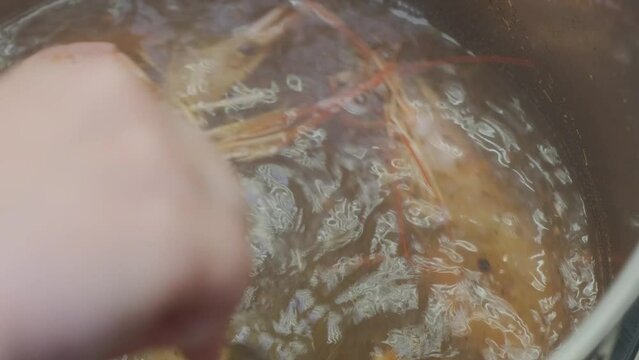 Shrimp in boiling water is stirred with a spoon by the cook