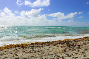 ocean in miami