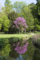GIARDINI DELLA VILLA REALE DI MONZA-ITALIA