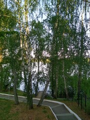 Asphalt path - stairs to the lake among the trees